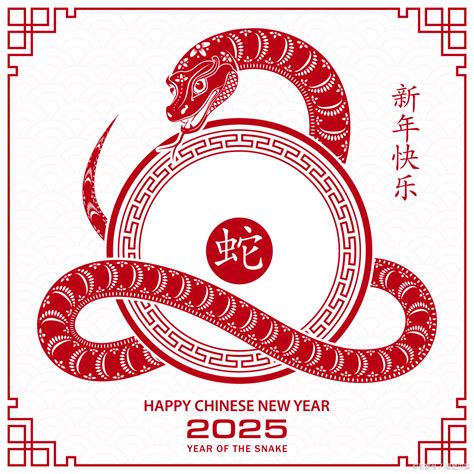 2025是什么生肖|2025年属什么生肖